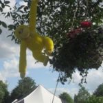Monkey in a tree