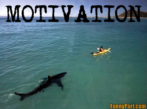 rowing motivation shark ssrs