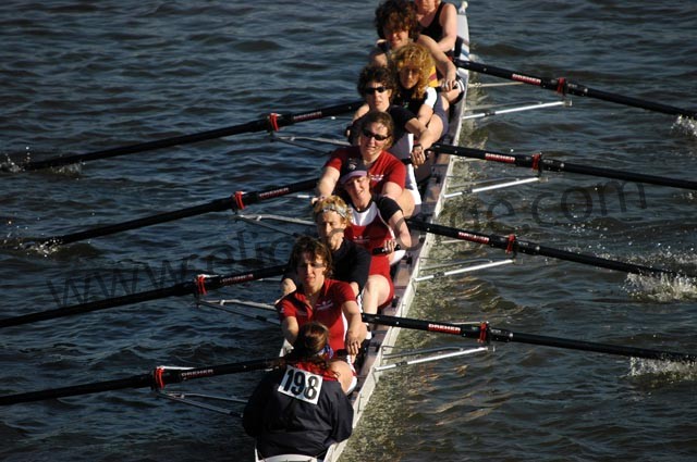 WEHORR Cambridge Vets