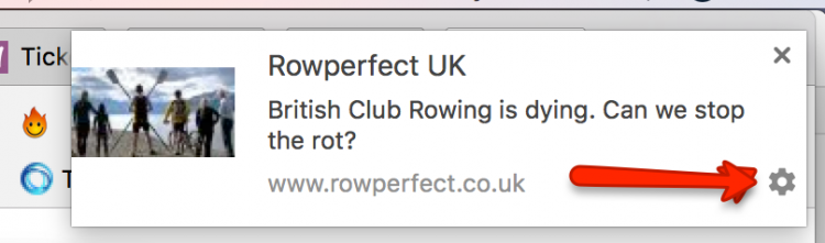 Rowperfect new article notifications