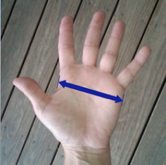 rowing glove palm measure