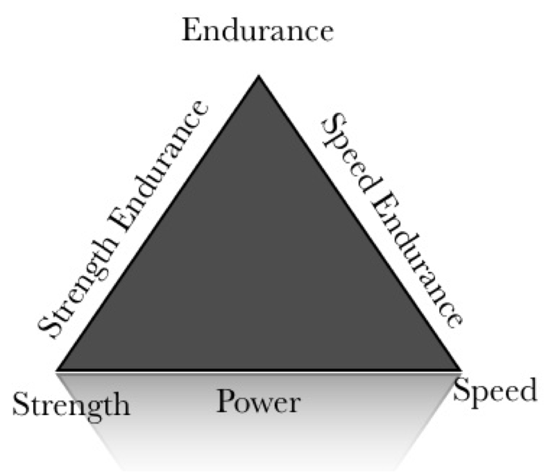 How to become a stronger rower: Part 2. Forms of strength