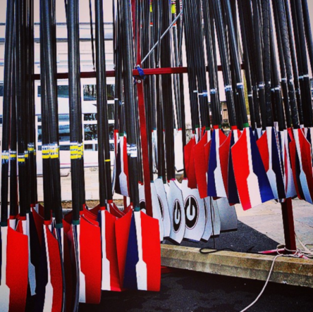 Look at all those oars! Storage Courtesy of Space Saver Rowing Systems