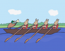 bunnies rowing