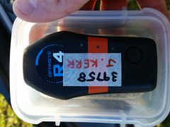 Minimax Rowing GPS