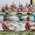 rowing crew, racing rowers, world rowing