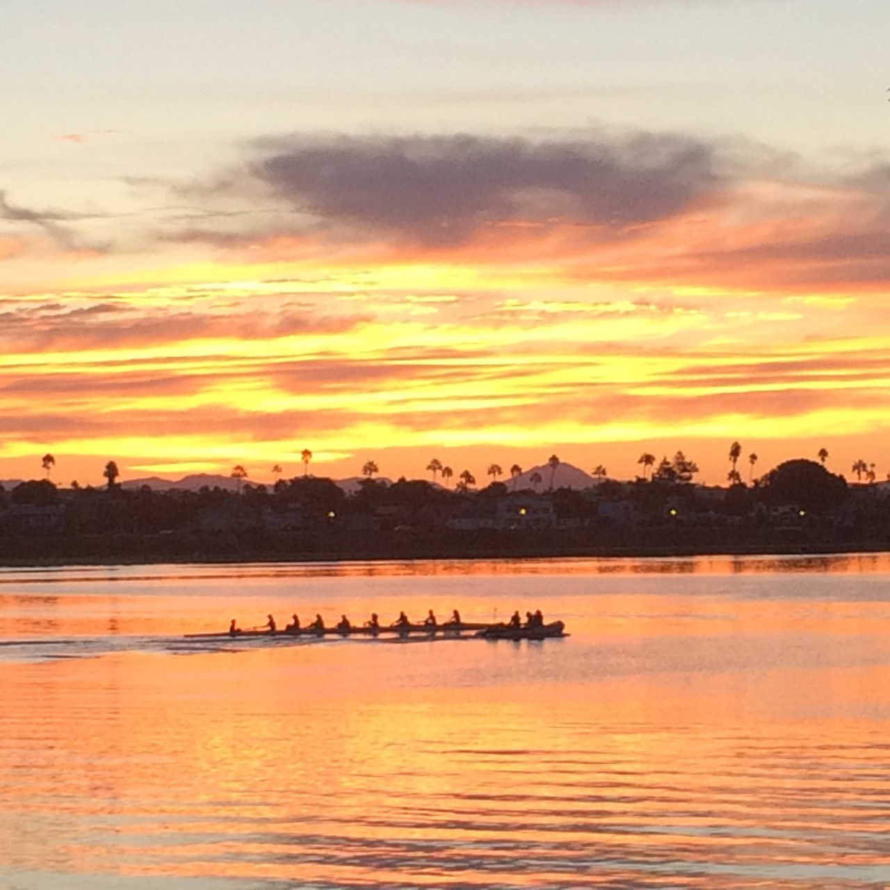 Rowing Crew at Dawn on the river