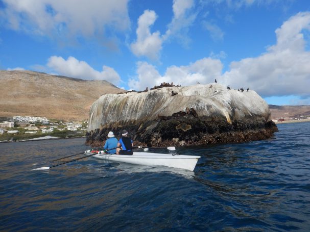 coastal rowing, rowing south africa, rowing the world, rowing vacation, ruth marr