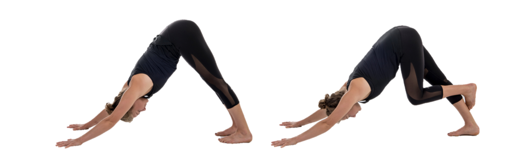 Stretch, rowing stretch, Downward Dog and variant with hooked foot