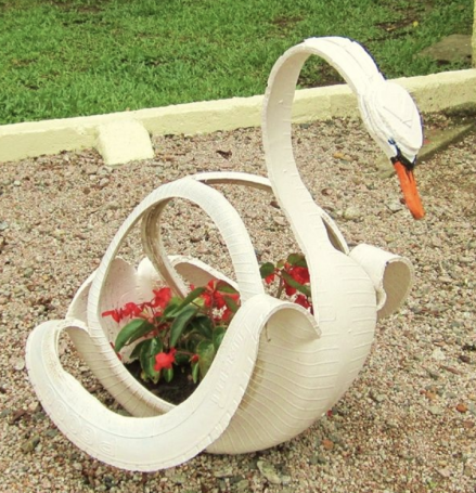 Tyred Swan kiwiana