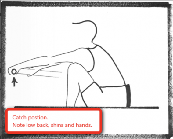 Rowing and Sculling Catch Position, rowperfect, rowing technique