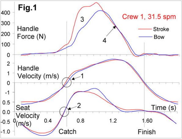 rowing data, rowing crew compare,