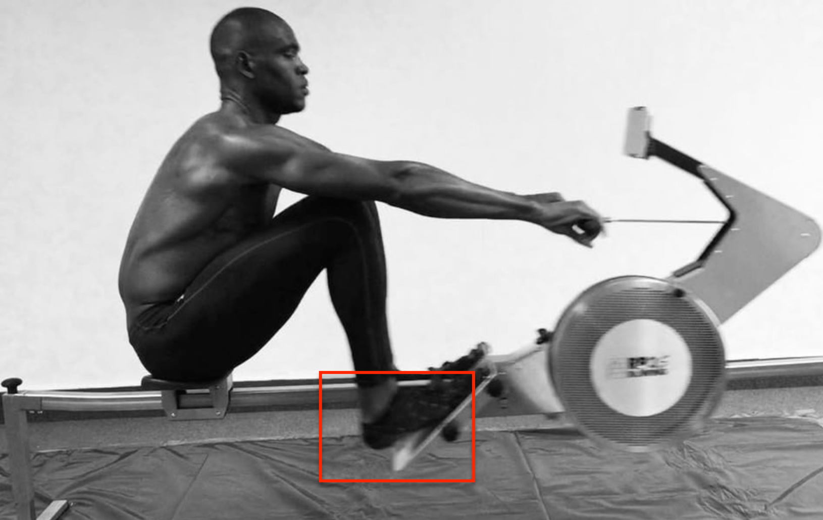 The science behind heels up or heels down Rowperfect